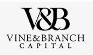 V&B VINE & BRANCH CAPITAL logo