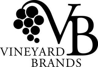 VB VINEYARD BRANDS logo