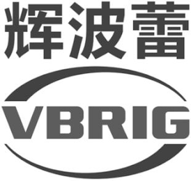 VBRIG logo