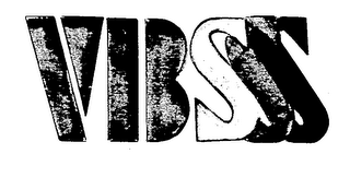 VBS logo