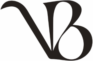 VBS logo