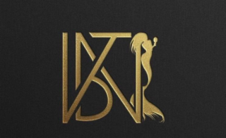 VBW logo