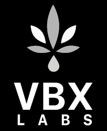 VBX LABS logo