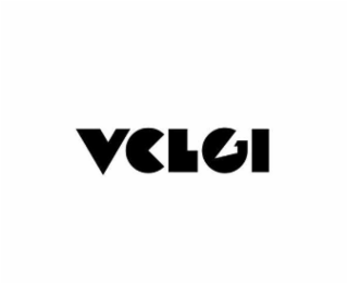 VCLGI logo
