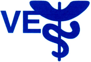 VE logo