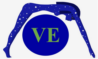 VE logo