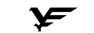 VE logo