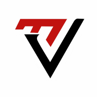 VE logo