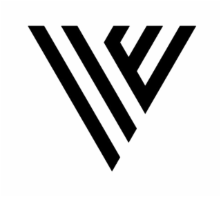 VE logo