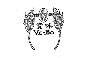 VE-BO logo