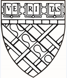 VE RI TAS logo