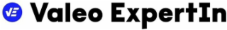 VE VALEO EXPERTIN logo