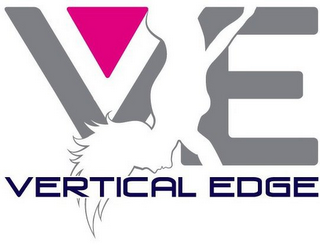 VE VERTICAL EDGE logo