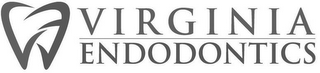 VE VIRGINIA ENDODONTICS logo