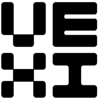 VE XI logo