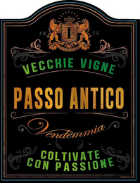 VECCHIE VIGNE PASSO ANTICO VENDEMMIA COLTIVATE CON PASSIONE logo