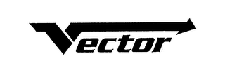 VECTOR logo