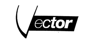 VECTOR logo