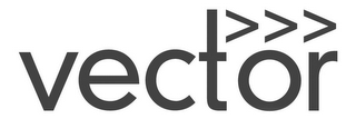 VECTOR>>> logo