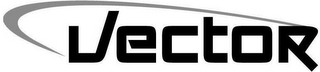 VECTOR logo