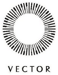 VECTOR logo