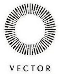 VECTOR logo
