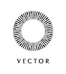 VECTOR logo