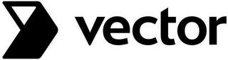 VECTOR logo