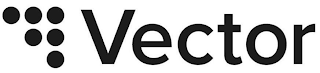 VECTOR logo