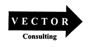 VECTOR CONSULTING logo
