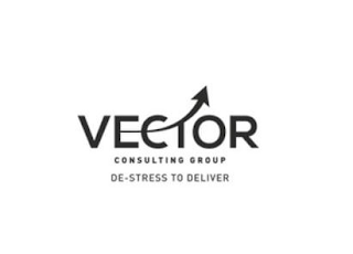 VECTOR CONSULTING GROUP DE-STRESS TO DELIVER logo