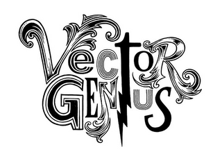 VECTOR GENIUS logo