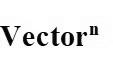 VECTORN logo