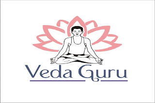VEDA GURU logo