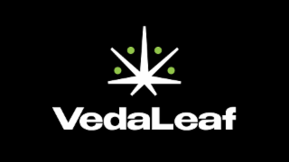 VEDALEAF logo
