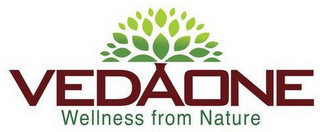 VEDAONE WELLNESS FROM NATURE logo
