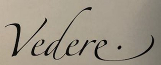 VEDERE · logo