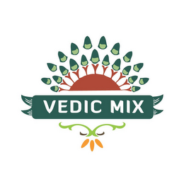 VEDIC MIX logo