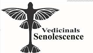 VEDICINALS SENOLESCENCE logo