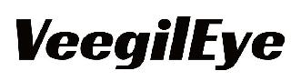 VEEGILEYE logo