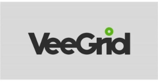 VEEGRID logo