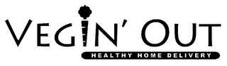 VEG N' OUT HEALTHY HOME DELIVERY logo