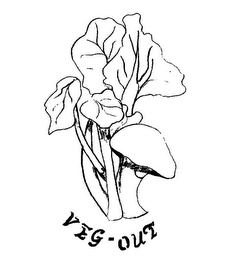 VEG-OUT logo