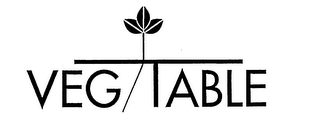 VEG TABLE logo
