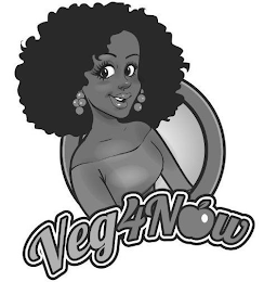 VEG4NOW logo