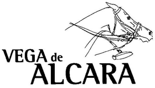 VEGA DE ALCARA logo