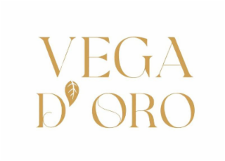 VEGA DE ORO logo