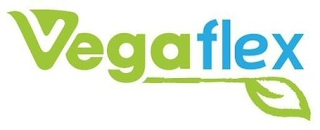VEGAFLEX logo