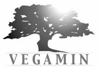 VEGAMIN logo