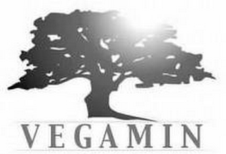 VEGAMIN logo
